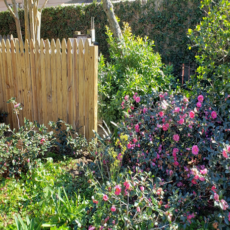 Wooden fence with plants and flowers
